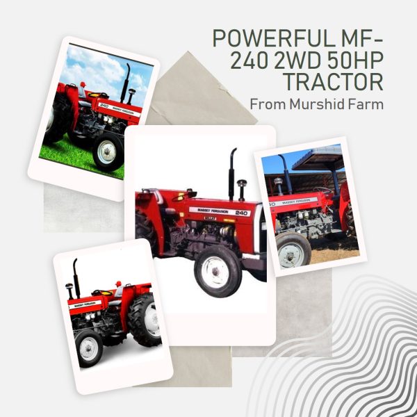 Trust and Power embodied: MF-240 2WD 50HP Tractor by Murshid Farm, a symbol of reliability and strength in agriculture