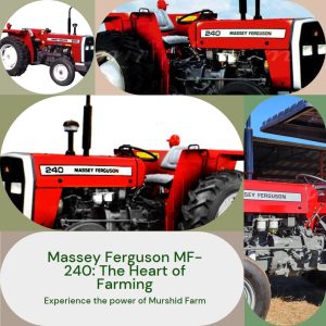A captivating image of the Massey Ferguson MF-240, symbolizing the heart of farming by Murshid Farm (MFIPK)