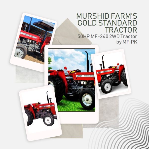 A prestigious MF-240 2WD 50HP tractor by Murshid Farm (MFIPK), setting the gold standard for agricultural excellence