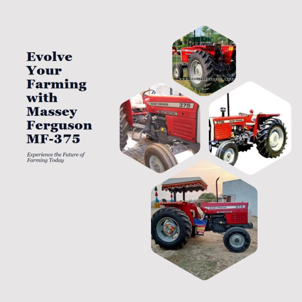 A Massey Ferguson MF-375 tractor amidst a field, showcasing agricultural innovation by MFIPK