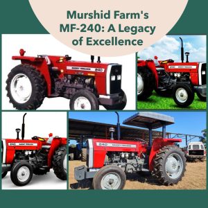 MF-240: Murshid Farm's legacy of excellence continues with the 2WD 50HP tractor, a symbol of reliability and performance in agriculture