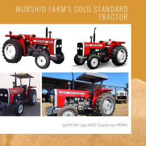 The Gold Standard: MF-240 2WD 50HP Tractor by Murshid Farm (MFIPK) - Excellence in agricultural machinery