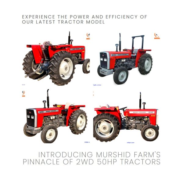 MF-240: Murshid Farm's powerful 2WD 50HP tractor, a reliable workhorse for efficient farming