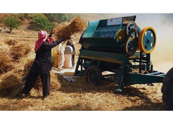 Murshid Farm Industries Implement Wheat Thresher in working position preparing wheat.
