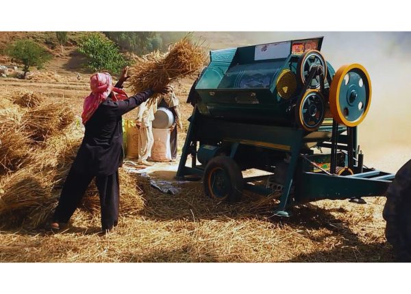 Murshid Farm Industries Implement Wheat Thresher in working position with a man putting wheat into the thresher.