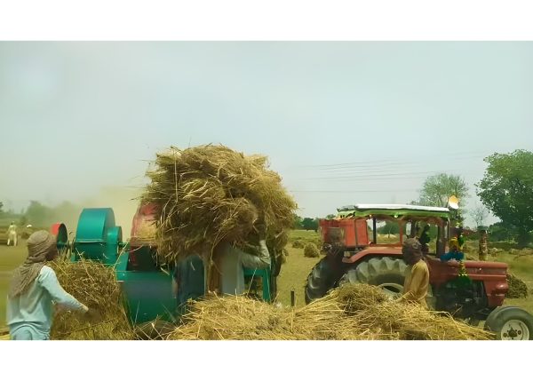 Murshid Farm Industries Implement Wheat Thresher in full working position.