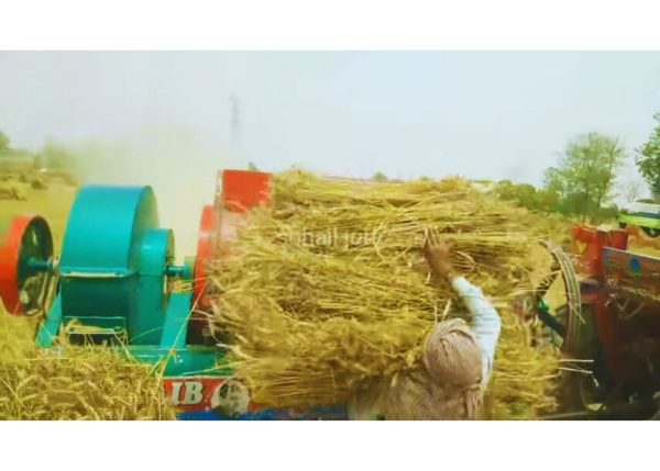 Murshid Farm Industries Implement Wheat Thresher in working position with maximum power.