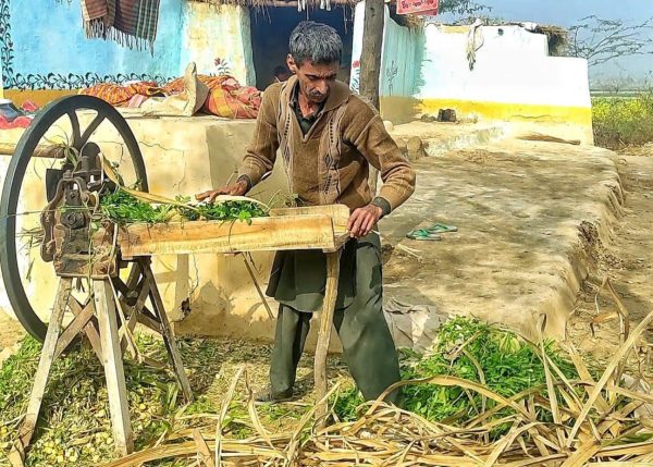 A farmer using the Murshid Farm Industries Implement fodder chopper to chop food.