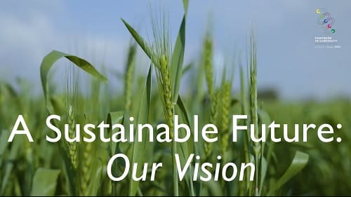 vision-for-a-sustainable-and-innovative-future-at-murshid-farm-industries-mfipkcom