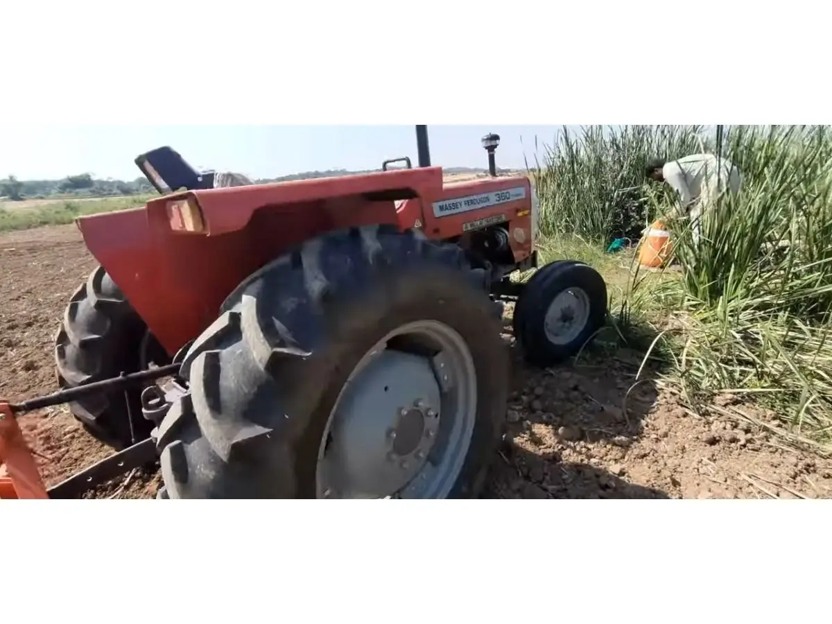 Affordable MF 360 with 2WD featuring Affordable Farming Solution supplied across Botswana - Image 5