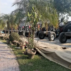 Massey Ferguson 375 price in Pakistani rupees preferred by farmers across Africa, affordable solution for efficient agriculture